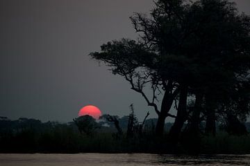 Zonsondergang in Moremi Botswana van De wereld door de ogen van Hictures