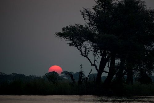 Zonsondergang in Moremi Botswana