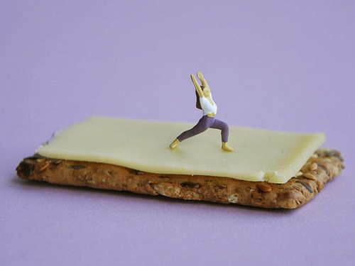 Yoga on a cracker with cheese