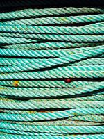 Sea green rope in the harbour of Lauwersoog