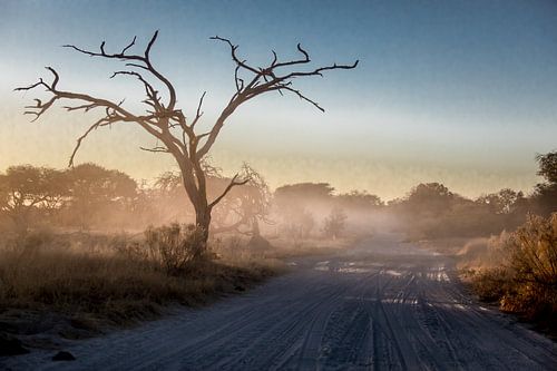 Desolate zandweg in Botswana 's morgens vroeg