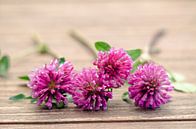 Violette Wildblumen auf Holz von Ellinor Creation Miniaturansicht