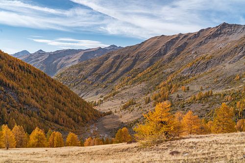 Paysage d'automne dans le Queyras dans les Alpes françaises - France