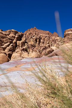 Prachtige rotsformatie in Wadi Rum van Patricia Van Roosmalen