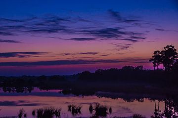 Painting colors van Jeroen Maas