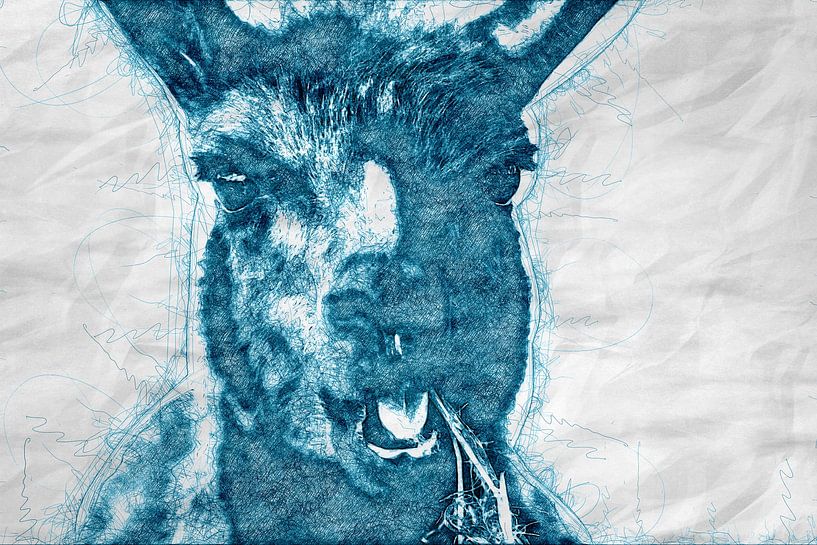 Lama Gama by Gig-Pic by Sander van den Berg