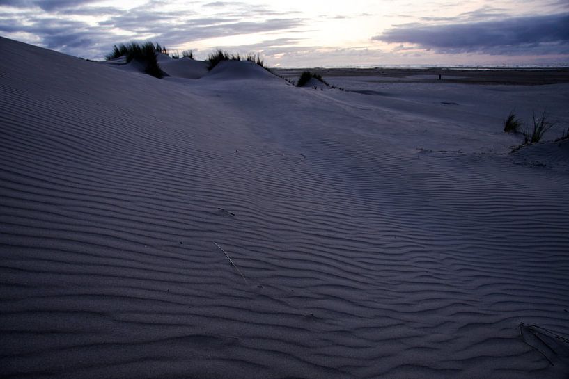 Détail de plage de la côte néerlandaise par Peter van Weel