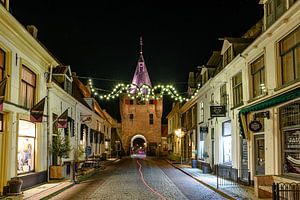 Der Vischpoort und die Vischpoortstraat in Elburg.