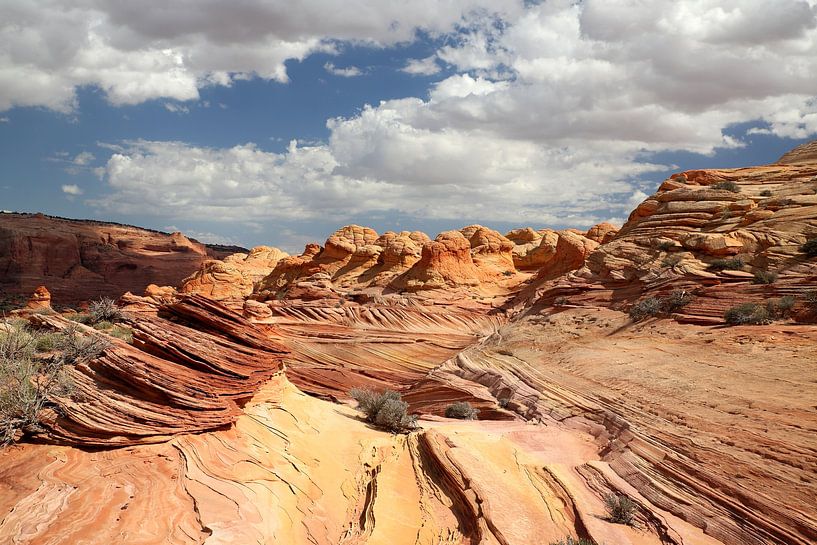 Rotsformaties in de North Coyote Buttes, deel van het Vermilion Cliffs National Monument. Dit gebied van Frank Fichtmüller