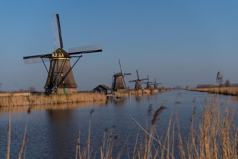 Windmills kinderdijk by Niels Haven