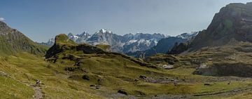 Vue panoramique de l'Eiger, du Monch et de la Junfrau depuis le Kiental.