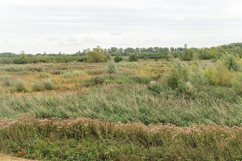 Nationaal Park Scheldevallei van Richard Wareham