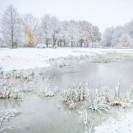 Winter met herfstkleuren van Gonnie van de Schans