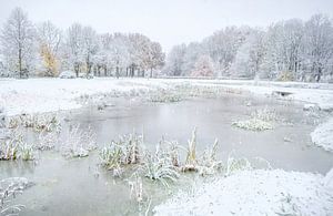 Winter mit Herbstfarben