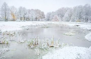 Winter met herfstkleuren van Gonnie van de Schans