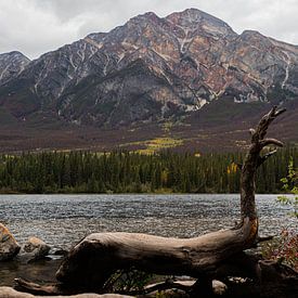 National park in Canada, nature, landscape, rockie mountain