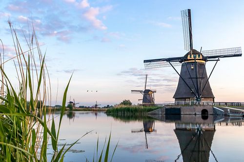 De windmolens in Kinderdijk.