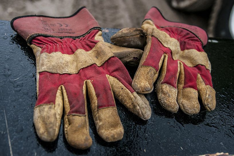 Handschuhe, verloren, vergessen von Norbert Sülzner