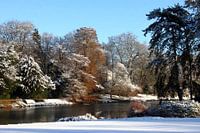 sneeuw in het park