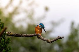 The Flying Gem by M.J. Lagerwerf