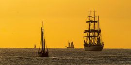 Sail Amsterdam / IJmuiden sail out 2025 at sunset by Hans Brinkel