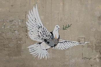 'Gepanzerte Taube' von Banksy in Bethlehem, Palästina