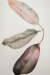 Flatlay von gepressten Blumen kombiniert mit Aquarellfarbe