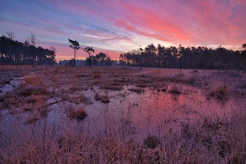 Kleurrijke zonsopkomst