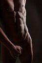 Abs van Johan Vos thumbnail