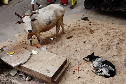Inde