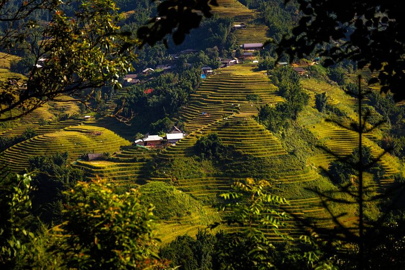 Sa Pa, Vietnam by Patrick Fotografeert