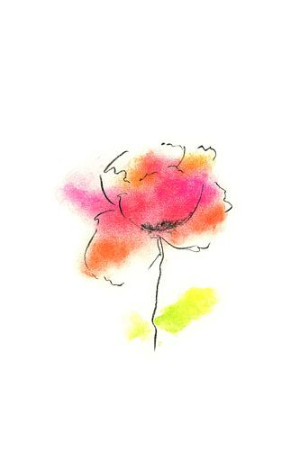 Esquisse de coquelicot Fusain et pastel