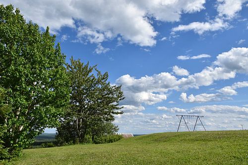 The schoolyard on a sunny summer day