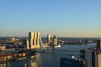 Yacht A in Rotterdam