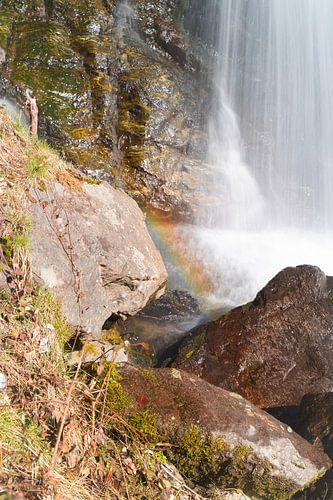 Magical rainbow - portrait