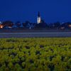 Church of Den Hoorn and Daffodils on Texel. by Justin Sinner Photography (Photographer on Texel)