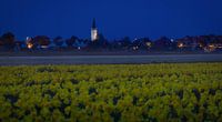 Church of Den Hoorn and Daffodils on Texel. by Justin Sinner Photography (Photographer on Texel) thumbnail