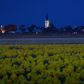 Church of Den Hoorn and Daffodils on Texel. by Justin Sinner Photography (Photographer on Texel)