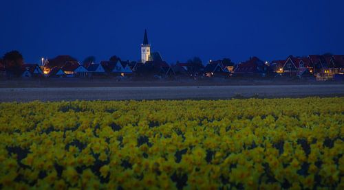Kerk van Den Hoorn en Narcissen op Texel.