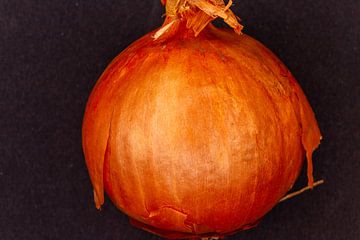 Bulbe d'oignon jaune suspendu sur fond sombre sur de-nue-pic