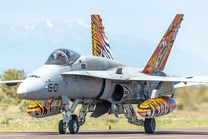 Eine McDonnell Douglas EF-18A Hornet von ALA 15 (15-01) zeigt sich in ihrer schönen Tigermeet 2016-L