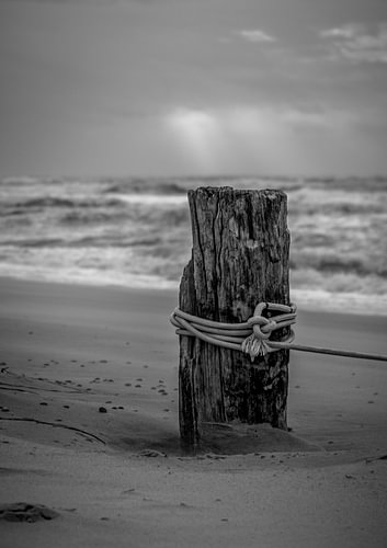 Strandpfahl in Domburg
