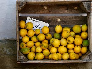 Boîte de limes