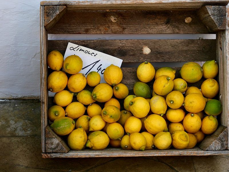 Boîte de limes par Judith van Wijk