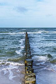 Buhne an der Küste der Ostsee in der Nähe von Graal Müritz