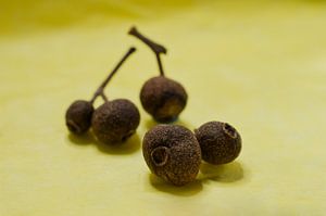 Piment auf Gelb