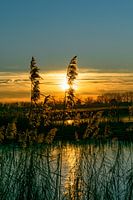 Zonsondergang op een wintersemiddag