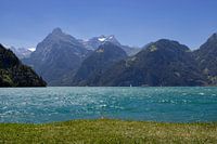 Urnersee Summer View, Switzerland