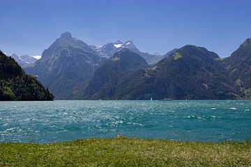 Zomeruitzicht Urnersee, Zwitserland van Imladris Images