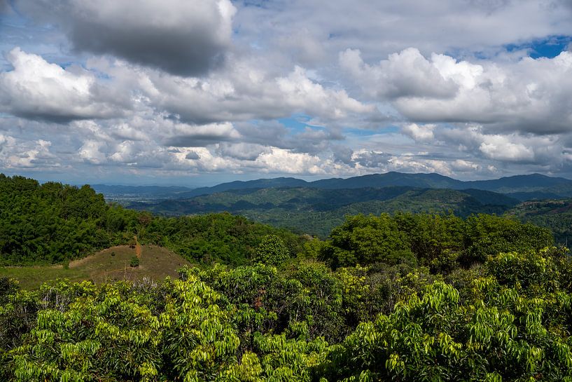 Doi Mae Salong, Provinz Chiang Rai im Norden Thailands von Franklin Driessen
